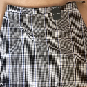 Rutig kjol - Helt oanvänd med prislapp kvar. Skulle säga att den är i storlek 36. Betala endast frakten så får du den gratis! 