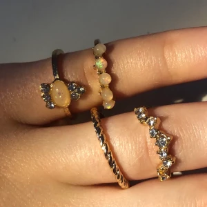 Ringar  - En ring för 20kr, två för 30kr