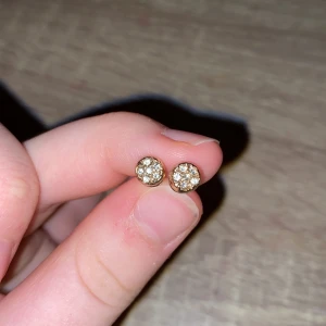 Örhängen  - Guld. På toppen av och Örhängena är det silver prickar, + frakt 📦 