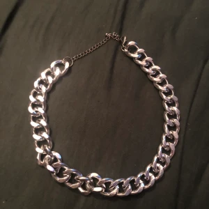 Halsband kedja  - Tjock silver (fake) kedja i halsband.  Frakt får man stå för själv så hela priset blir 45 då.
