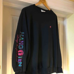  - Snyggt urtvättad vintage collegetröja från Hang Ten. 80/90-tal. 