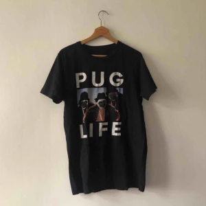  - Kan hämtas i Uppsala eller skickas mot fraktkostnad 