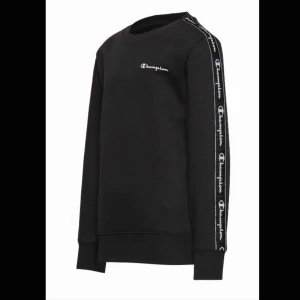  - Champion hoodie i stl M, så snygg och lagomt oversize☺️