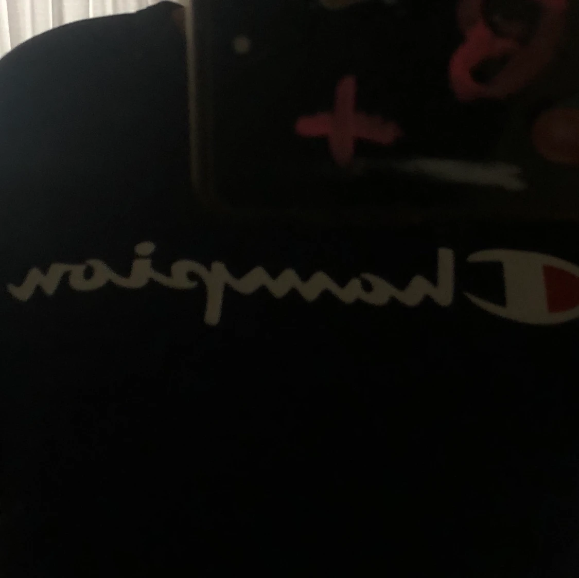 Champion sweatshirt  - 91