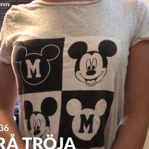 Grå tröja  - En gullig grå tröja från H&M med Musse pigg på. Använd ganska mycket men är i bra skick. Kan mötas upp i Ängelholm och frakta köparen står för frakt. BUDA!!!