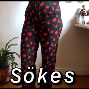 Blommiga byxor HM - Söker dessa blommiga byxor från hm om det finns någon som skulle vilja sälja! 