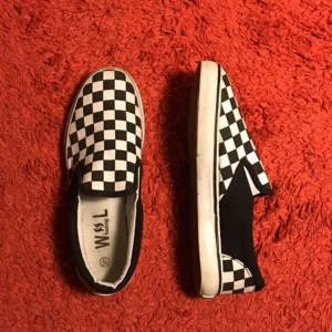  - Ett par rutiga skor, icke vans men snarlika.   Köpte dom i storlek 41 men de är försmå för mig i tårna så skulle säga att dom passar 40 eller en stor 39.