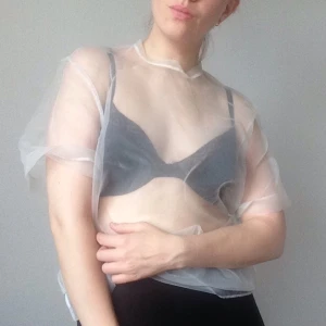  - Fin transparent top.