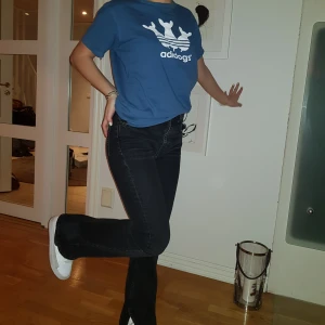 "Adidogs" T-shirt - Adidogs t-shirt i storlek 40, motsvarande M i herrstorlek. 