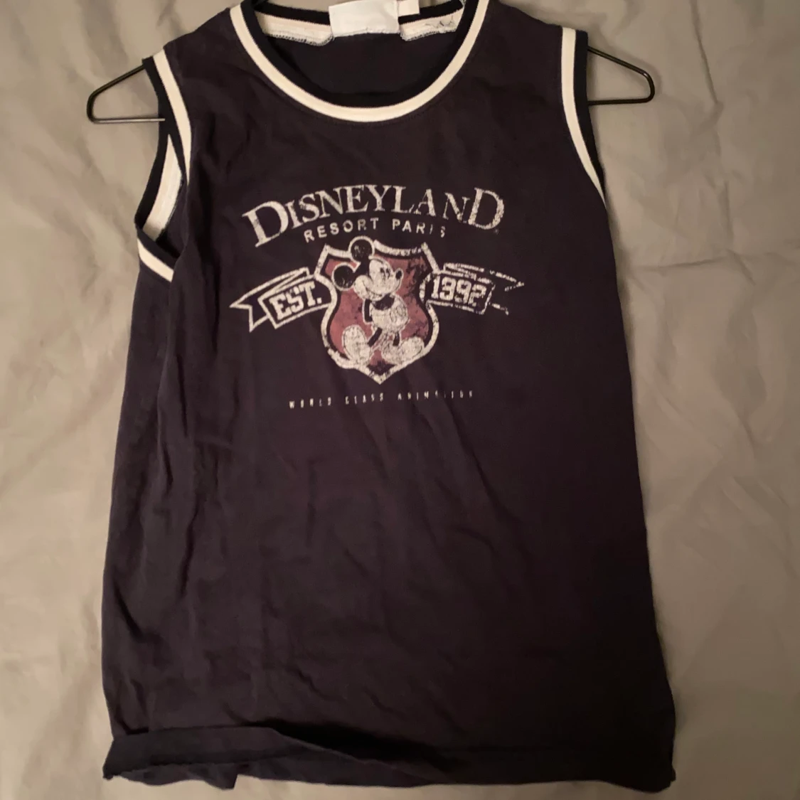 Linne disney world paris