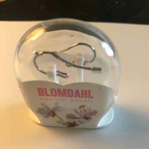 Nya örhänges ringar från Blomdahl. Säljer pga av att jag redan har ett par.