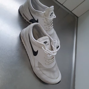 Skor Nike  - Finns i hisingen , finns hund o katt hemma .  Dom är små i storlek  använda  några gånger