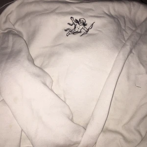 hollister storlek S - säljer denna hollister sweatshirt! den har bra skick, inte använt så mycket, den ör skön att ha på sig. ursprungliga priset är 500kr men säljer för 110kr. frakt kostar 10kr.