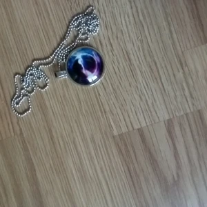  - Halsband lyser i mörkret 