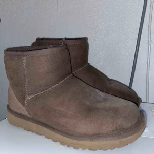  - Grå/lila uggs 