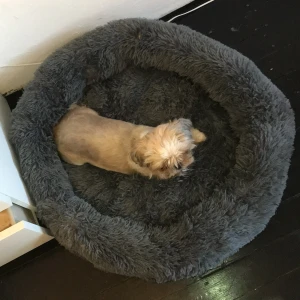 Hund korg för mellan hundar - Göra extremt mjuk hundkorg ( ändats använt i denna bilden som ungefär storleksguide) det är en mindre shih tu. Original pris 2000kr