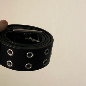 Skärp  - Coolr skärp från UrbanOutfitters. Trendigt och passar bra till allt. Köptes i New York 2019. Nyskick. Nypris 200kr, mitt pris 50kr. Priset går att diskuteras. Köpare står för frakt. För fler bilder skriv privat☺️