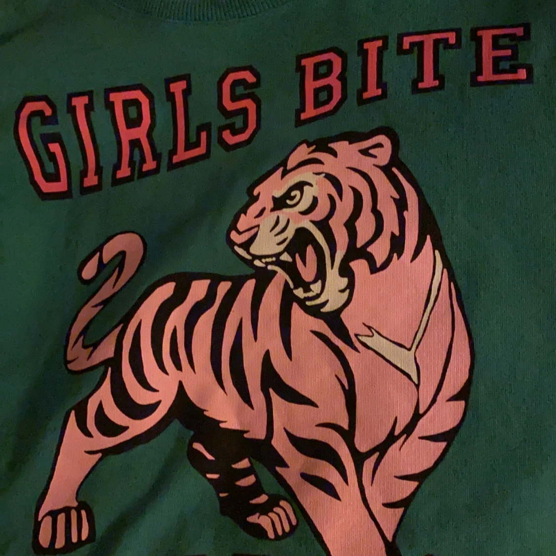 Grön Sweatshirt  - 91