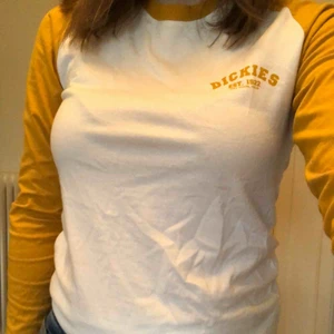  - Jätte fin tröja från Dickies i bra skick. Köparen står för frakt😃