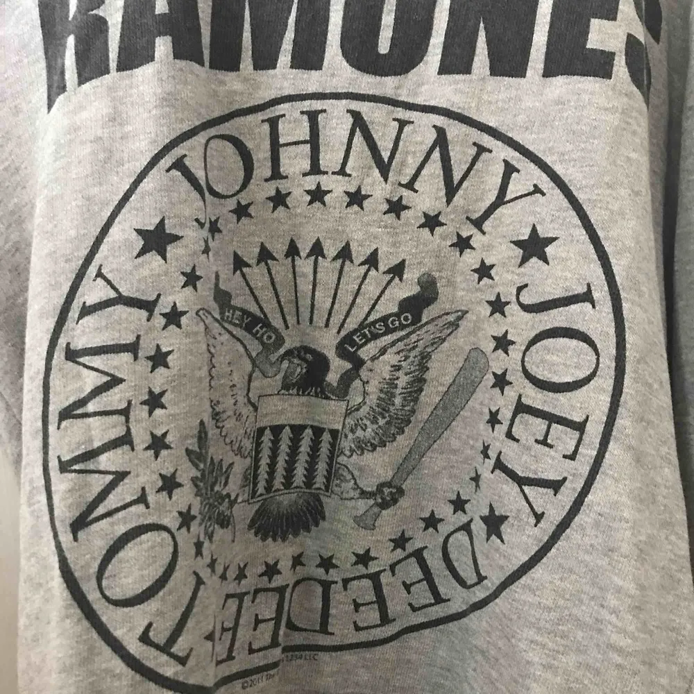 Grå tröja med ”Ramones” tryck. Säljer pga att de inte kom till användning, bra skick. Frakt tillkommer!. Hoodies.