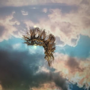 Lösögonfransar - Hand gjorda lösögonfransar bruna, första gången så dom blev lite små men dom ser bra ut annars. Jag säljer dom lite billigare eftersom att det är första gången och dom kanske inte blev perfekta😅 