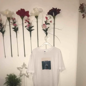  - cool tröja med JAWS tryck på. älskar filmen och älskar tröjan haha. super najs att ha på sig med mörka byxor. 🌊🦈