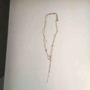  - Guldhalsband med två kedjor