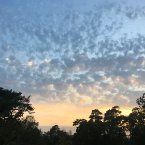  - Jag flyttar utomlands om 2veckor och är tillbaka om 1år i Sverige. Så om ni vill köpa nåt passa på nu!!!! Möts upp i Stockhom C när som!