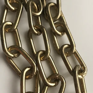 Guldig kedja - Säljer en guldig kedja som man kan sätta på byxor tex🤩 ca 35cm lång! Frakt 11kr