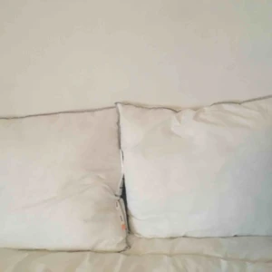  - 2 Ikea pillows AXAG  Only used for less then four months As good as new