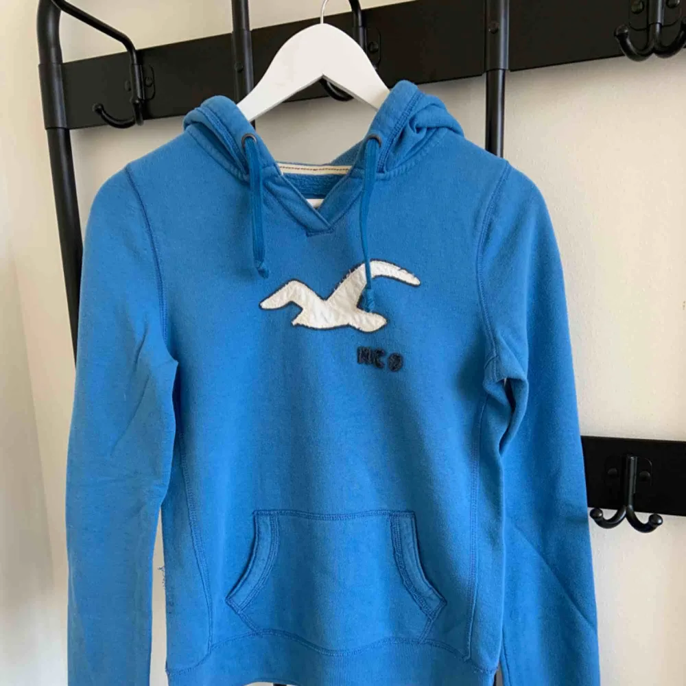 Hollister Hoodie Bright Blue Size: M So comfy!!. Hoodies.