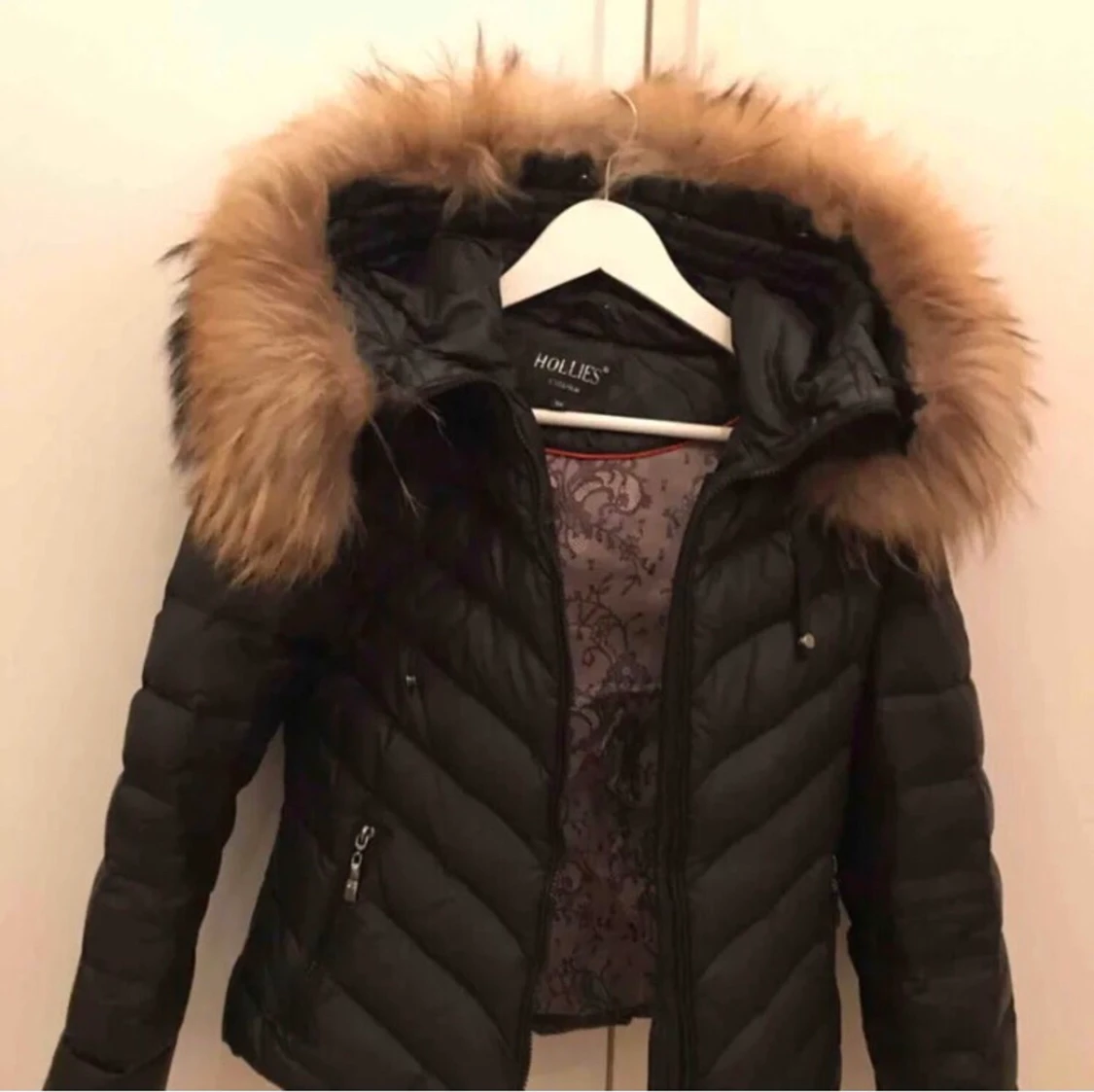 Hollies Jacka