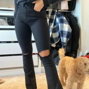  - Säljer dessa snygga bootcut jeans med hål i, nästan aldrig använt dom, därför säljer jag💗  Köpare står för frakt💗