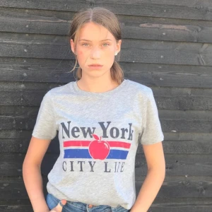 Grå T-shirt med tryck - En grå T-shirt med tryck på framsidan, jätte fint till ett par blåa jeans💕                                                     säljer pga använder ej.                                           Skick: mycket fint skick✨