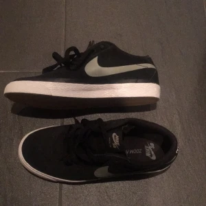  - Nike SB. Endast testade! Storlek 40