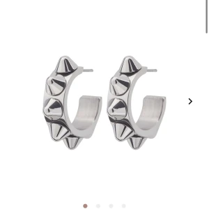 Edblad örhängen! - Hej, säljer dessa super fina Edblad örhängen! Köptes för förra året! Super fina örhängen till solstart😍 Boxen kommer med!nypris 399! Hör av er vi frågor 🥰