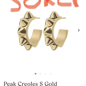 Söker Edblad örhängen  - Söker dessa, pris är justerbart💗