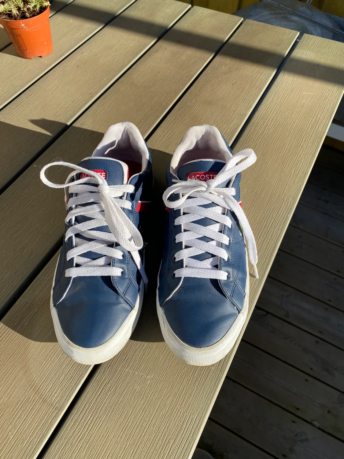 Mörblå Lacoste sneakers st 38 - 90