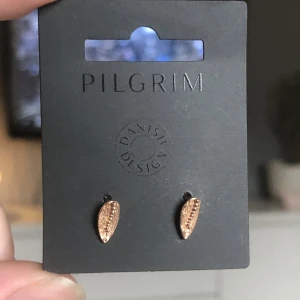 Pilgrim guld öronhängen - OANVÄNDA pilgrim öronhängen. Original pris är 130kr säljs för 50kr! Priset går alltid att diskutera 