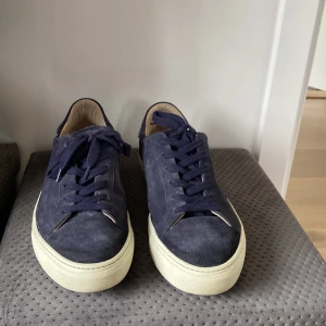 Rizzo skor - Sparsamt använda rizzo skor som inte kommer till användning längre. Storlek 44 och köpta för 1900kr Kan gå ner i pris vid en snabb affär