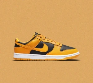 Nike dunks  - Hej säljer dessa feta Nike dunks golden rod, fick som i julklapp, men passa inte riktigt mig, dom är använda ett fåtall gånger. Dom är köpta för 1300. Box ingår. Perfekta till sommarn.