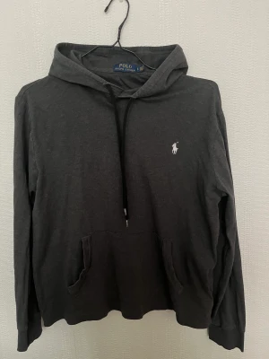 Ralph Lauren hoodie - Ralph Lauren hoodie. Aldrig använd då storleken inte passar mig. Ganska liten i storlek. 