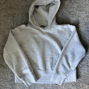 Jätte fin grå hoodie från Zara stl S, knappt använd 