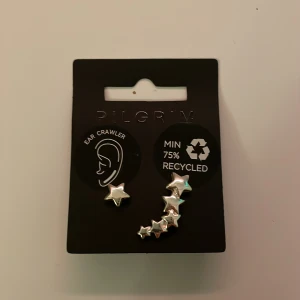 Örhängen - Pilgrim örhängen, helt nya. nypris-149, mitt pris 99. kan sänka priset vid snabb affär. skriv vid ev frågor💘(stainless steel)