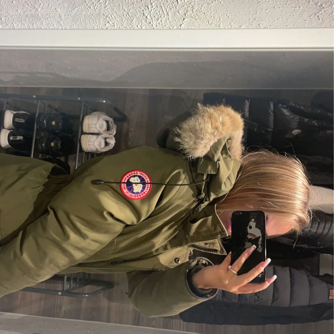 Canada goose  - 90