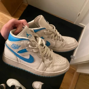 Jordan 1 - Jordan 1or i jättebra skick