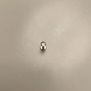 Näs piercing  - Aldrig använd med bra skick.