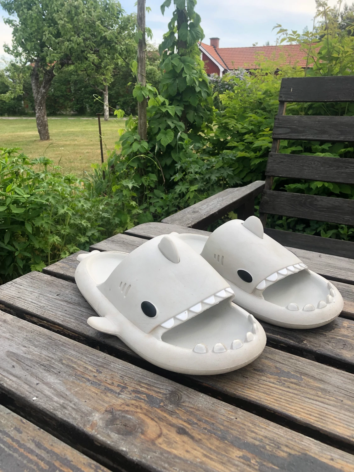 Sharkslides