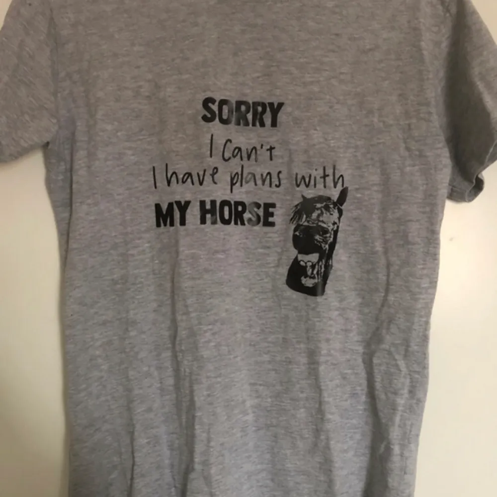 Grå T-shirt med tryck på bröstet  ”Sorry I can’t, I have plans with my horse”  Stl L men skulle säga mer som en M  Aldrig använd . T-shirts.
