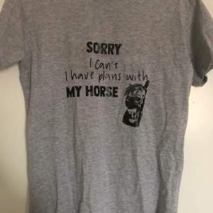 Grå T-shirt med tryck på bröstet  ”Sorry I can’t, I have plans with my horse”  Stl L men skulle säga mer som en M  Aldrig använd 
